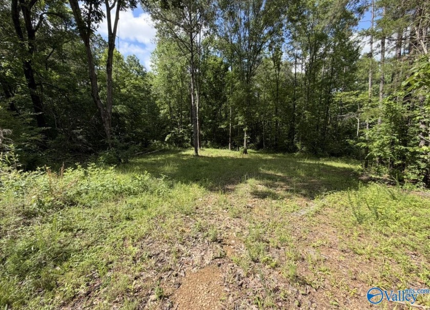 Unlock the potential of this exceptional, unrestricted 37-acre - photo 17