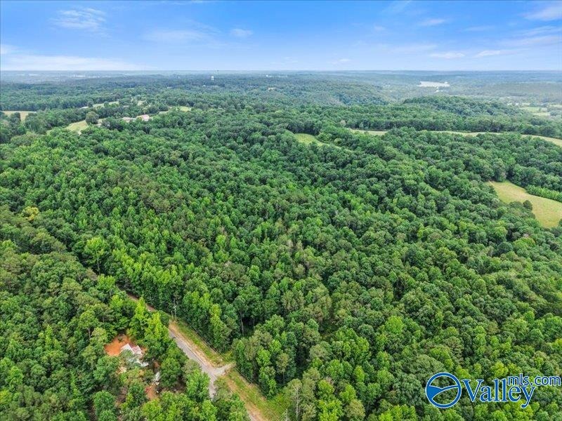 Unlock the potential of this exceptional, unrestricted 37-acre - photo 18