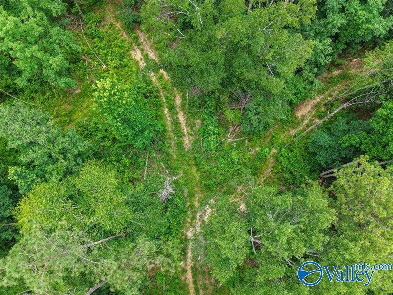 Unlock the potential of this exceptional, unrestricted 37-acre - photo 19