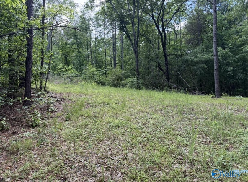 Unlock the potential of this exceptional, unrestricted 37-acre - photo 20