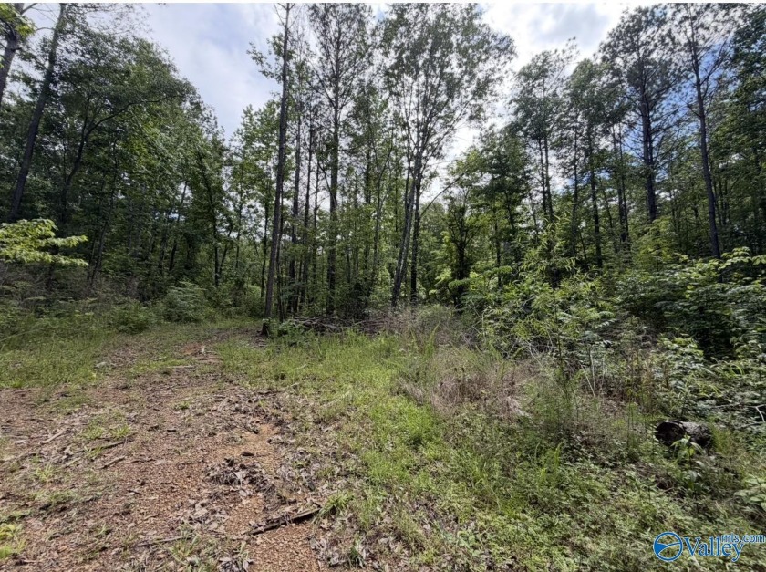 Unlock the potential of this exceptional, unrestricted 37-acre - photo 21