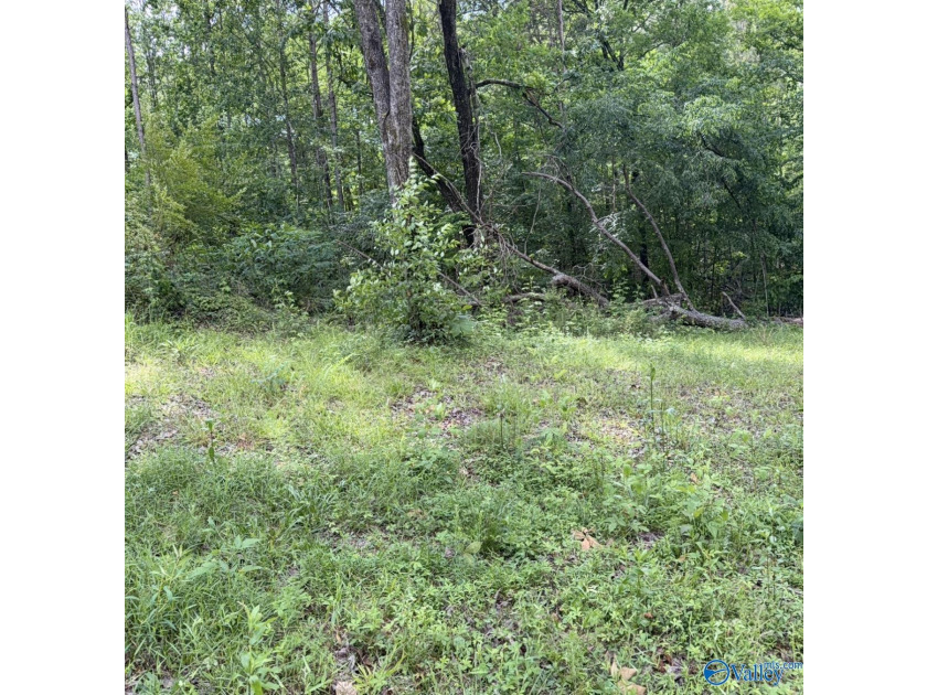 Unlock the potential of this exceptional, unrestricted 37-acre - photo 22
