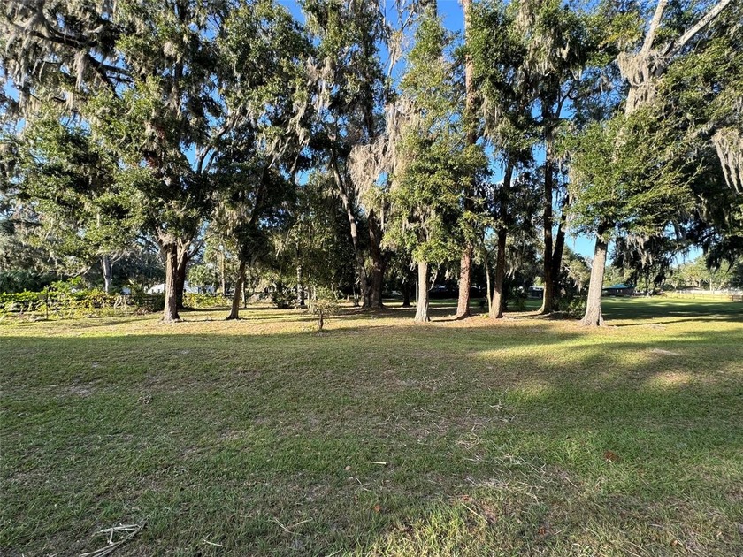 Beautifully cleared lots right off of E HWY 318 in Citra! Lot is - photo 3