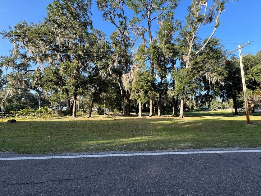 Beautifully cleared lots right off of E HWY 318 in Citra! Lot is - photo 4