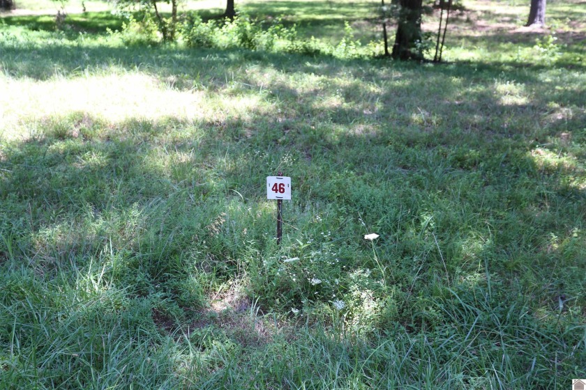 Lot 46 Doe Valley Drive, Benton, KY 42025, 2906638