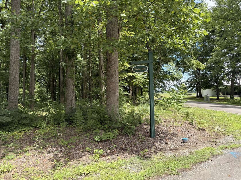Build your dream home on this beautiful 1-acre lot located in - photo 10
