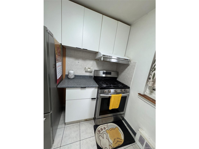 Move right into this beautifully renovated, sun-filled - photo 10