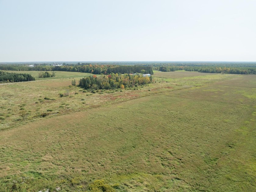 73.6 acres of vacant organic land just northwest of Antigo in - photo 5