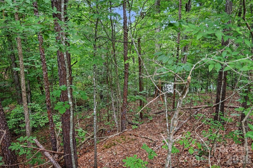 Build your custom home on this beautiful 1.28-acre homesite in - photo 12