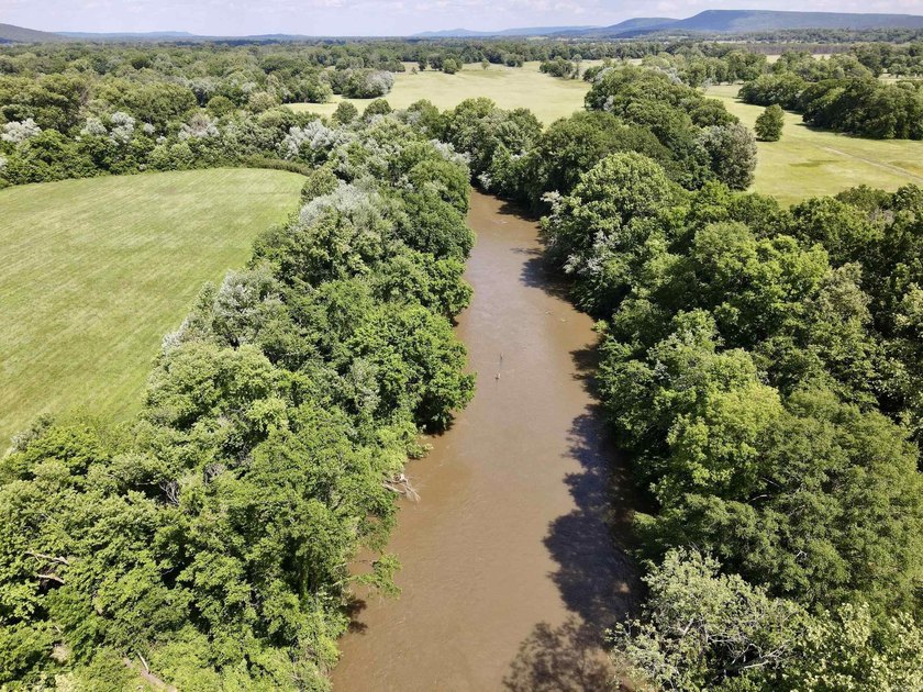 This exceptional multi-use farm with Petit Jean River frontage - photo 5