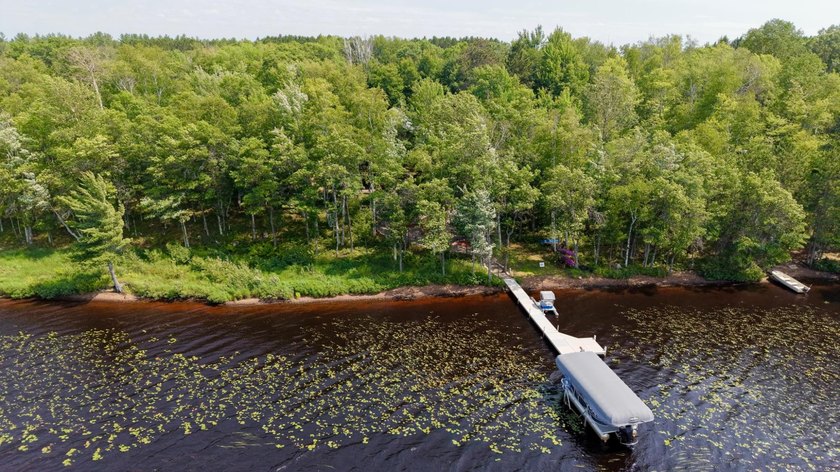 Rare Opportunity on Pine Lake! Homes on this sought-after lake - photo 3