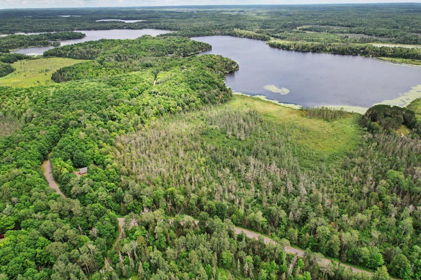 Discover 28 acres of pristine Northwoods beauty on Morton Lake - photo 3
