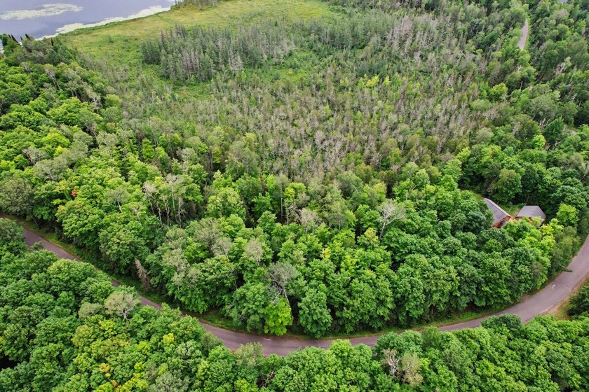 Discover 28 acres of pristine Northwoods beauty on Morton Lake - photo 6