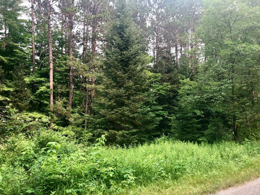 Discover 28 acres of pristine Northwoods beauty on Morton Lake - photo 9