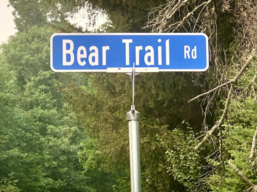 Discover 28 acres of pristine Northwoods beauty on Morton Lake - photo 10