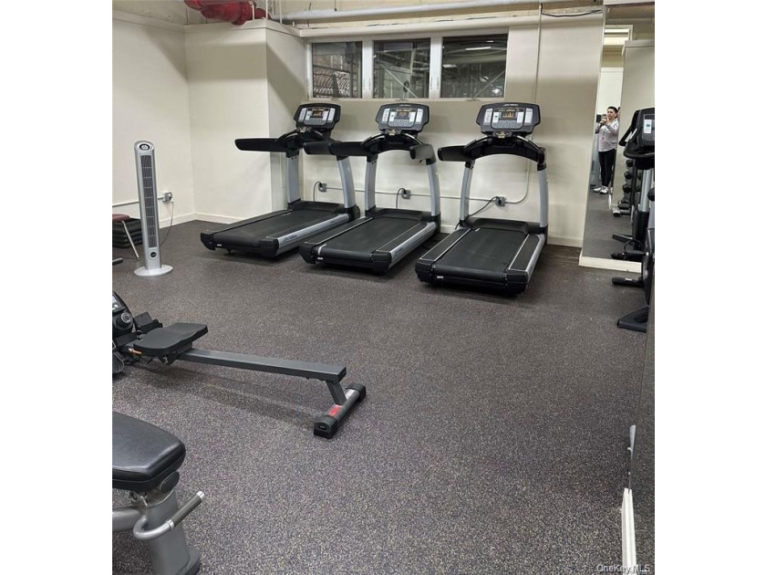 A beautifully renovated JR1/One Bedroom apartment has just - photo 15