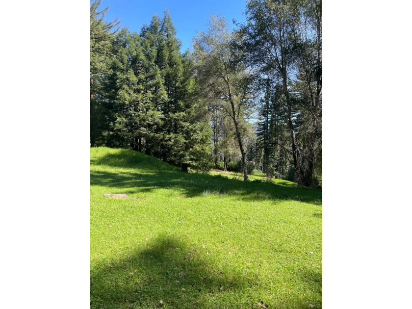 A rare blend of sunshine, serenity, and usable land awaits at - photo 2