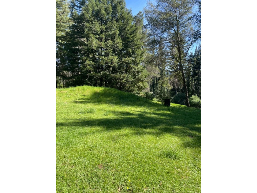 A rare blend of sunshine, serenity, and usable land awaits at - photo 3