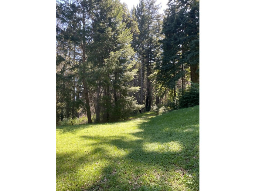 A rare blend of sunshine, serenity, and usable land awaits at - photo 6