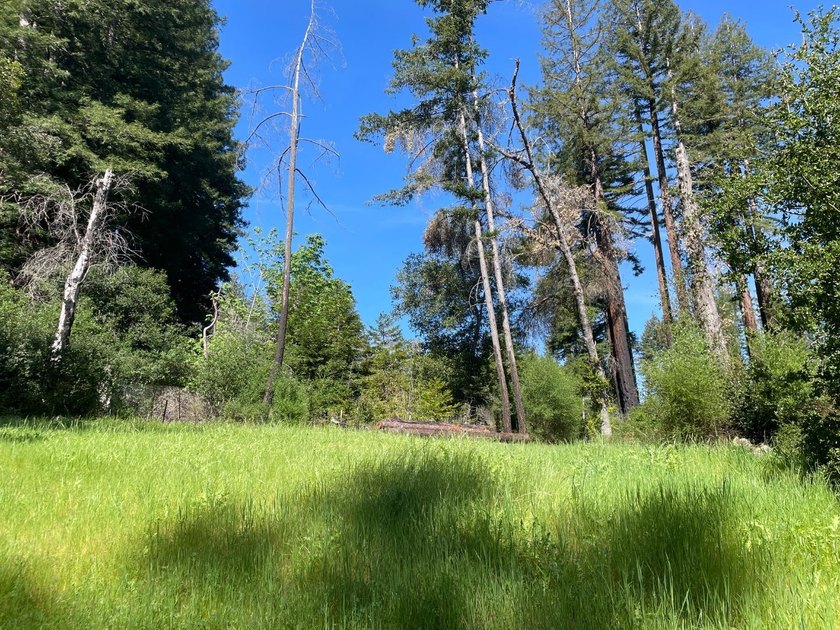 A rare blend of sunshine, serenity, and usable land awaits at - photo 8