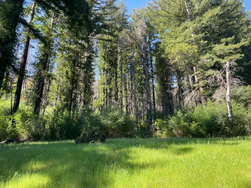 A rare blend of sunshine, serenity, and usable land awaits at - photo 9