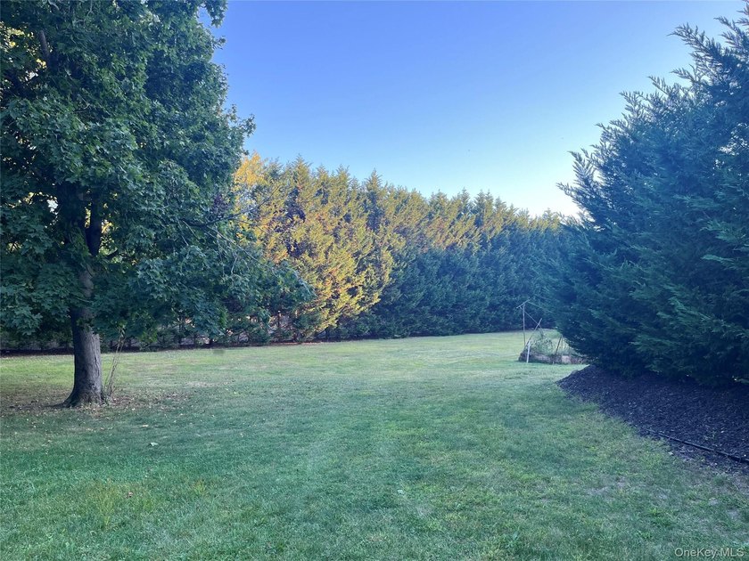 Endless Possibilities &amp; Opportunities for Buyers Looking for an - photo 37