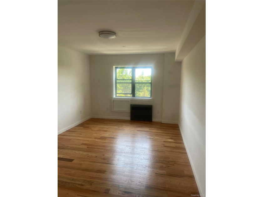 Completely Renovated Unit in the beautiful Mona Lisa Building - photo 8
