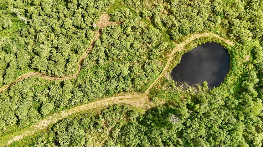 35+ acres of recreational parcel located just east of Deerbrook - photo 4