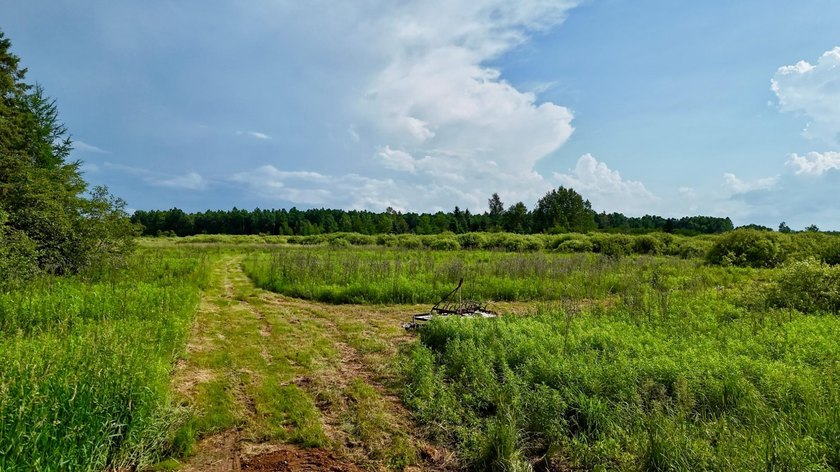 35+ acres of recreational parcel located just east of Deerbrook - photo 5