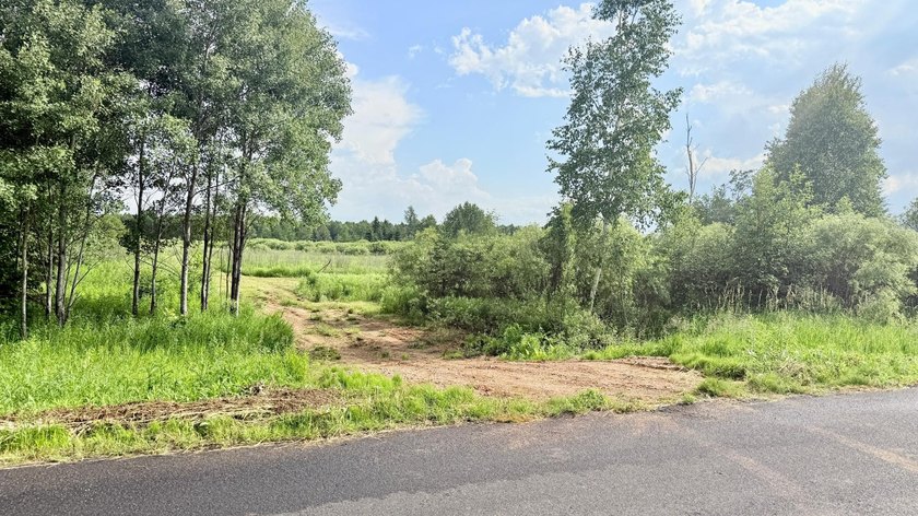 35+ acres of recreational parcel located just east of Deerbrook - photo 6