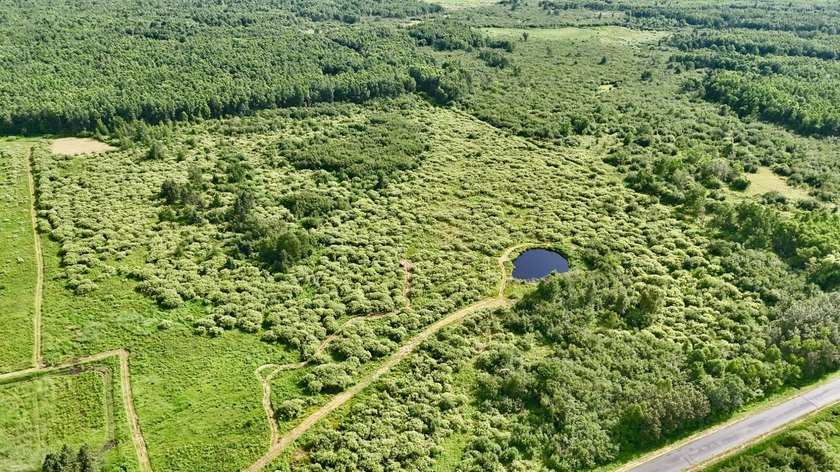 35+ acres of recreational parcel located just east of Deerbrook - photo 7