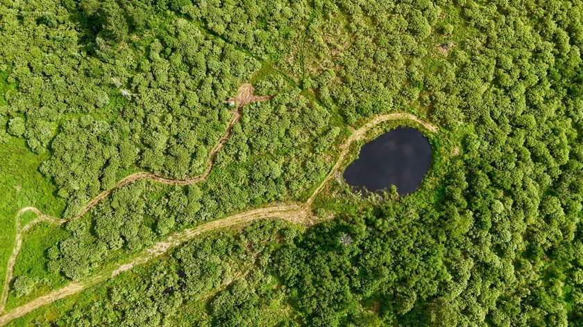 35+ acres of recreational parcel located just east of Deerbrook - photo 8