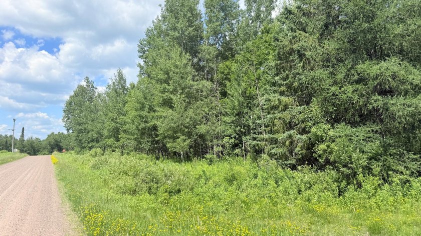 Beautiful 40-acre parcel offering a unique mix of mature pines - photo 7