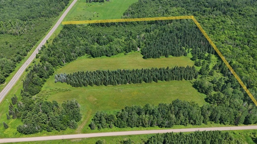 Beautiful 40-acre parcel offering a unique mix of mature pines - photo 9