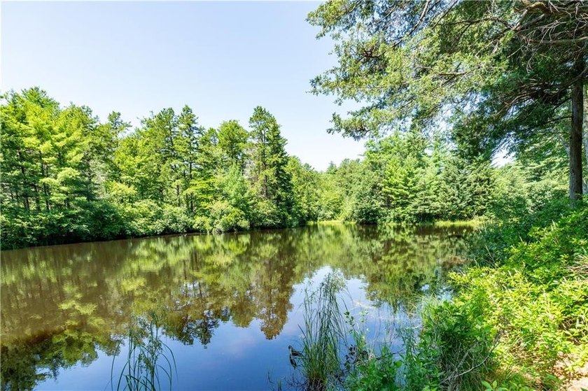 This is a very rare opportunity for a custom one level home on - photo 3