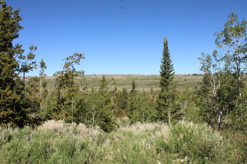Gorgeous views, abundant wildlife, and the rare sound of live - photo 25