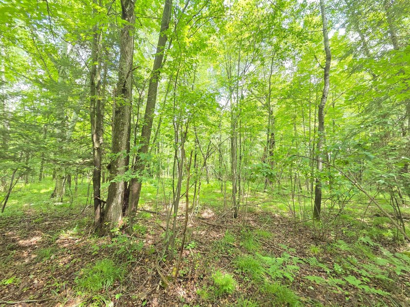(702/AS) It's time to make your Northwoods dreams come true - photo 2