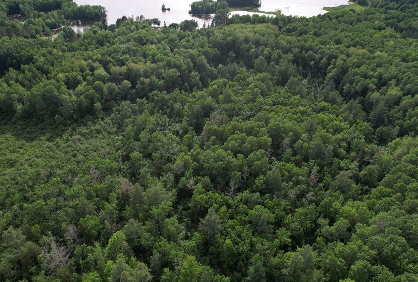 (702/AS) It's time to make your Northwoods dreams come true - photo 6