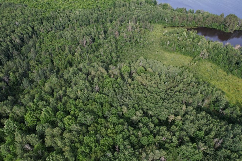 (702/AS) It's time to make your Northwoods dreams come true - photo 8