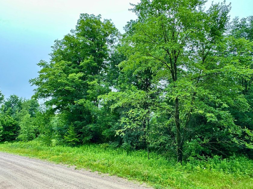 Build your dream home on this beautiful private 1.99-acre lot - photo 2