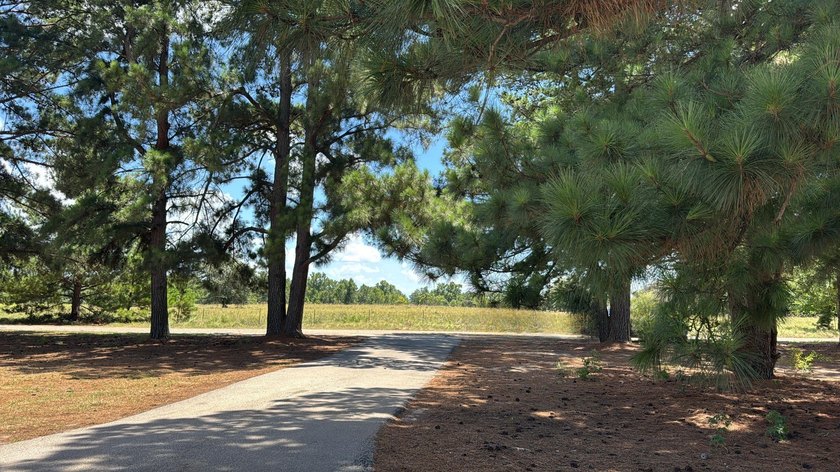 Nestled on 3+ acres just minutes from Lake Athens, this - photo 2
