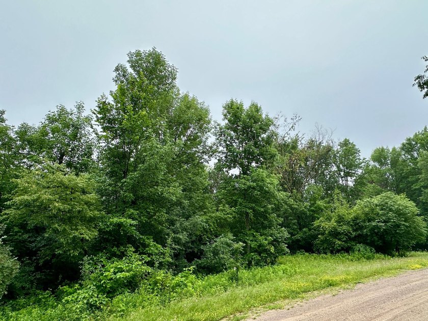 Build your dream home on this beautiful private 1.99-acre lot - photo 7
