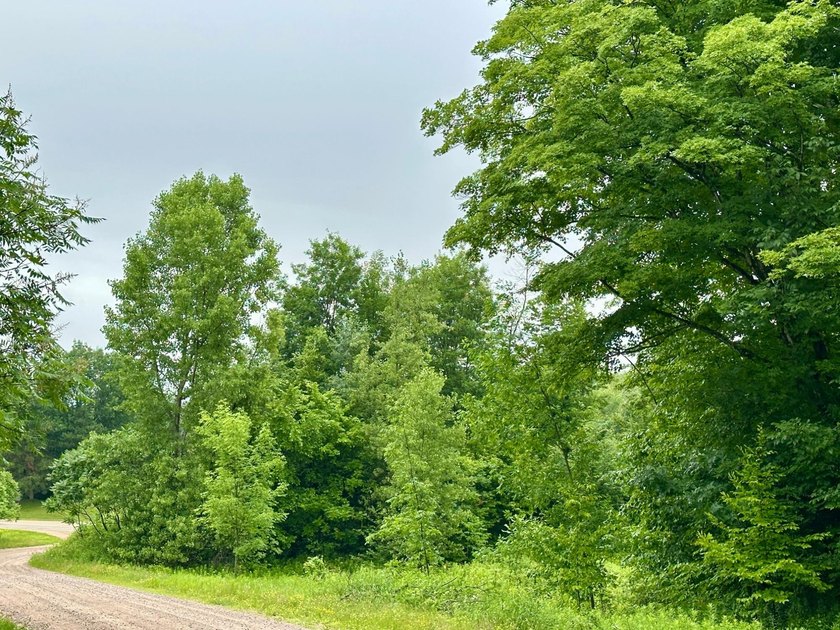Build your dream home on this beautiful private 2-acre lot - photo 3