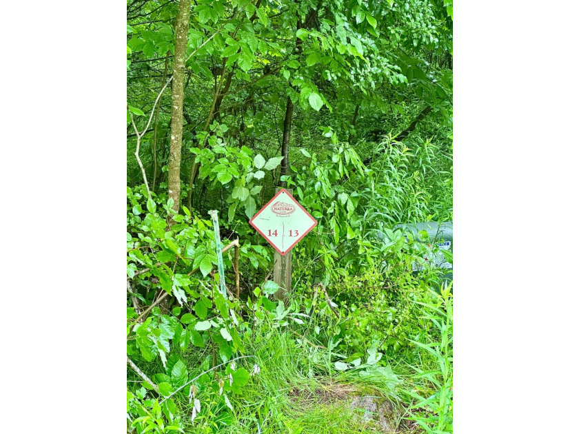 Build your dream home on this beautiful private 2-acre lot - photo 5
