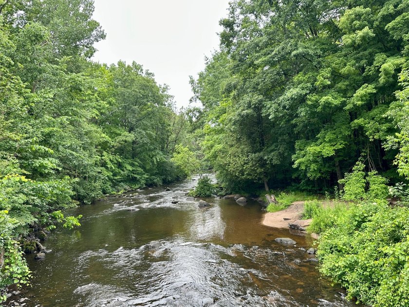 Build your dream home on this beautiful private 2-acre lot - photo 8