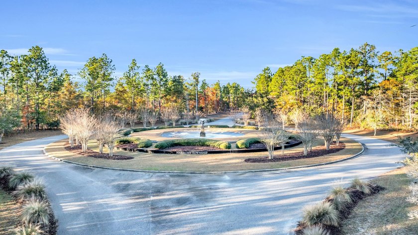 Harmony is back! DIRECT RIVERFRONT CORNER LOT. New ownership is - photo 7