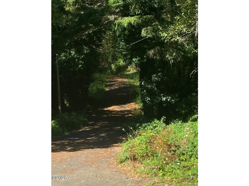 Beautiful 1920 farmhouse and acreage just waiting for your - photo 39