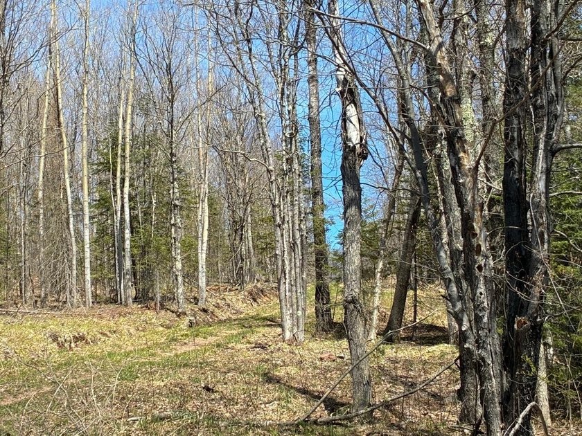 Perched at a premier high elevation, this unique mountaintop - photo 8