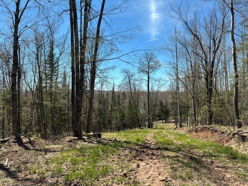 Perched at a premier high elevation, this unique mountaintop - photo 9