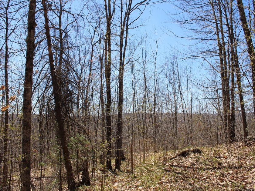Perched at a premier high elevation, this unique mountaintop - photo 10